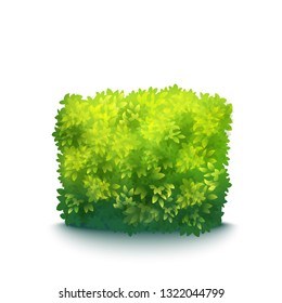 Vector Realistic Fresh Green Garden Hedge Isolated On White