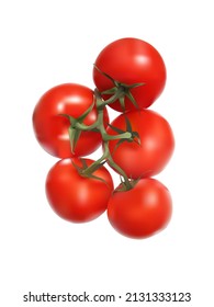 vector realistic fresh redtomato on branch