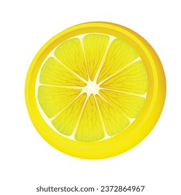 Vector realistic fruits composition with images of sliced lemon fruit on blank background.
