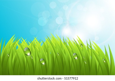 Vector realistic grass with dew, and blue sky, fresh spring background