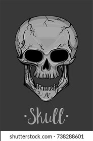 Vector Realistic Gray Skull On The Gray Background