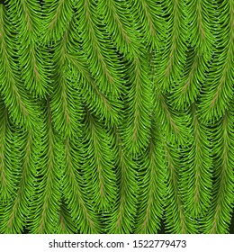 Vector realistic green Christmas tree branches background