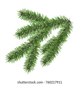 Vector realistic green coniferous branch isolated on white background - christmas decoration 