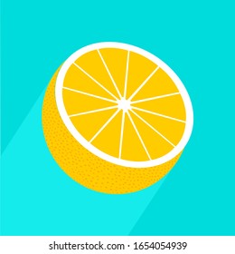 Vector realistic half grapefruit icon with long shadow. Fresh and juicy grapefruit. Fruit illustration with flat design.