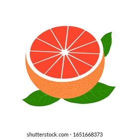 Vector realistic half grapefruit with  leaves. Fresh and juicy grapefruit. Fruit illustration with flat design.