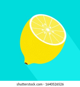 Vector realistic half lemon icon with long shadow. Fresh and juicy lemon. Fruit illustration with flat design.