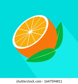 Vector realistic half orange with long shadow. Fresh and juicy orange. Fruit illustration with flat design.