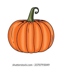 Vector Realistic Halloween pumpkin design element Isolated on white background vintage style pumpkin sticker illustration Pencil drawing Vegetable outline style illustration Farm market product design