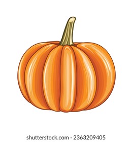 Vector Realistic Halloween pumpkin Isolated on white background realistic style pumpkin sticker illustration Pencil drawing Vegetable outline style illustration Farm market product Sketch easy to use