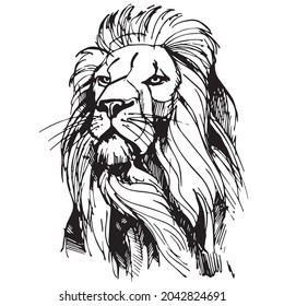 vector realistic hand drawing of majestic lion head isolated on white background. imitation of a drawing with black ink. Useful for tattoos, posters, zoos, safaris, nature reserves, t-shirt printing