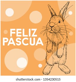 Vector realistic hand drawn bunny with lettering Feliz Pascua - Happy Easter, written in Spanisn, on yellow background. Flat vector illustration for Easter design and decoration, cards, posters, web.