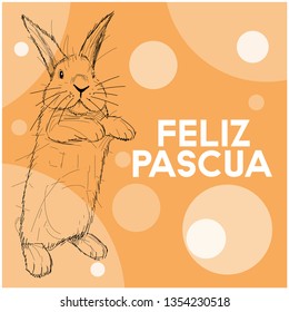 Vector realistic hand drawn bunny with lettering Feliz Pascua - Happy Easter, written in Spanisn, on yellow background. Flat vector illustration for cards, Easter design and decoration, posters, web.