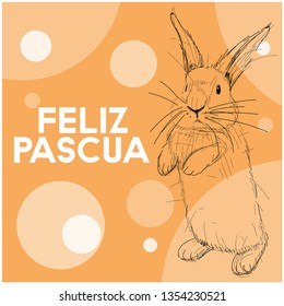 Vector realistic hand drawn bunny with lettering Feliz Pascua - Happy Easter, written in Spanisn, on yellow background. Flat vector illustration for cards, posters, Easter design and decoration, web.