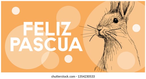 Vector realistic hand drawn bunny with lettering Feliz Pascua - Happy Easter, written in Spanisn, on yellow background. Flat vector illustration for Easter design and decoration, cards, posters, web.