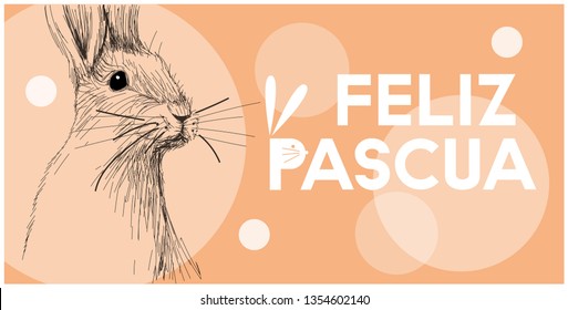 Vector realistic hand drawn bunny with lettering Feliz Pascua - Happy Easter, written in Spanisn, on orange background. Flat vector illustration for Easter design and decoration, cards, posters, web.