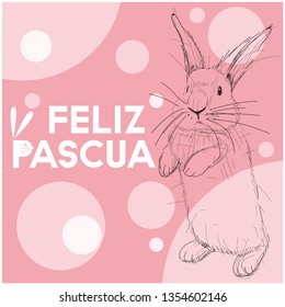 Vector realistic hand drawn bunny with lettering Feliz Pascua - Happy Easter, written in Spanisn, on pink background. Flat vector illustration for Easter design and decoration, cards, posters, web.