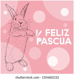 Vector realistic hand drawn bunny with lettering Feliz Pascua - Happy Easter, written in Spanisn, on pink background. Flat vector illustration for Easter design and decoration, posters, cards, web.