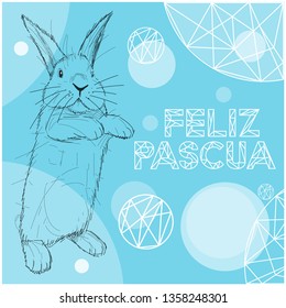 Vector realistic hand drawn bunny with lettering Feliz Pascua - Happy Easter, written in Spanish, on blue background. Flat vector illustration for cards, posters, Easter design and decoration, web. 