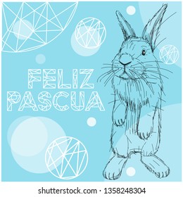 Vector realistic hand drawn bunny with lettering Feliz Pascua - Happy Easter, written in Spanish, on blue background. Flat vector illustration for Easter design and decoration, cards, posters, web. 