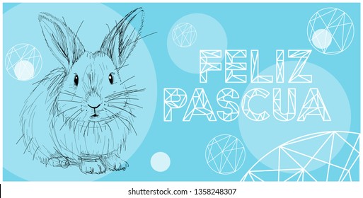 Vector realistic hand drawn bunny with lettering Feliz Pascua - Happy Easter, written in Spanish, on blue background. Flat vector illustration for Easter design and decoration, cards, posters, web. 