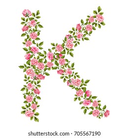 vector realistic hand drawn capital K letter made from rose flowers with leaves. Isolated illustration on a white background. Floral alphabet design object