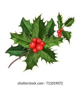 vector realistic hand drawn holly, ilex branch with berry and leaves, mistletoe. Christmas, new year holiday celebration symbol. Isolated illustration on a white background.