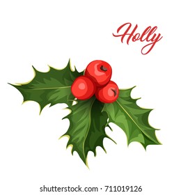 vector realistic hand drawn holly, ilex branch with berry and leaves, mistletoe. Christmas, new year holiday celebration symbol. Isolated illustration on a white background.
