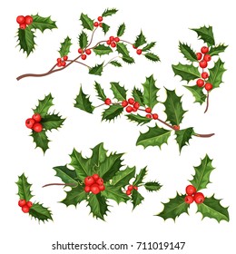 vector realistic hand drawn holly, ilex branch with berry and leaves, mistletoe set. Christmas, new year holiday celebration symbol. Isolated illustration on a white background.