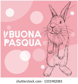 Vector realistic hand drawn sketch bunny with Easter lettering, written in Italian, on pink background. Flat vector illustration for cards, invitations, greetings, Easter design and decoration, web. 