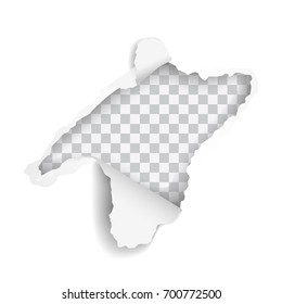 Vector realistic hole torn in paper on transparent background