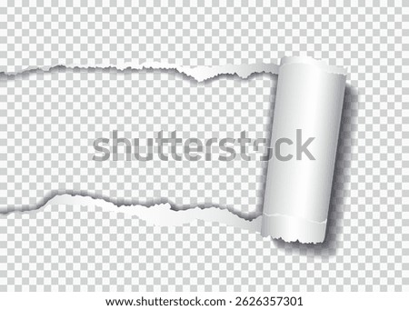 Vector realistic hole torn in paper with rolled edge and shadows on transparent background