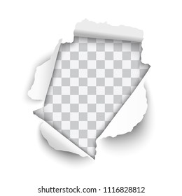 Vector realistic hole torn in white paper with rolled edges and transparent background