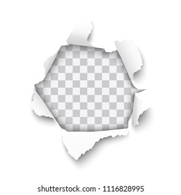 Vector realistic hole torn in white paper with rolled edges and transparent background