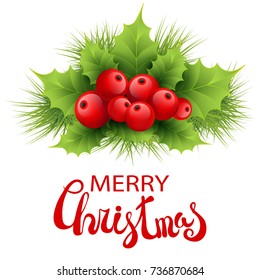 Vector realistic holly and fir tree branches Christmas ornament. Holly green leaves and red berries isolated on white background. Merry Christmas calligraphy text 