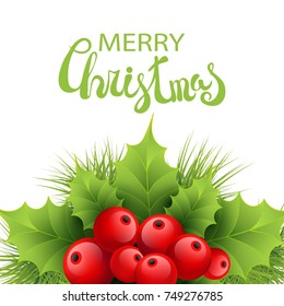 Vector realistic holly and fir tree branches Christmas ornament. Holly green leaves and red berries on white background. Merry Christmas calligraphy text. Card template
