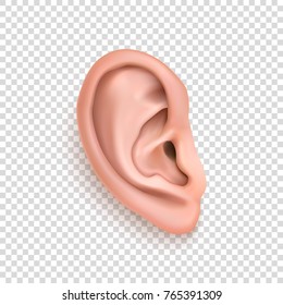 Close up human ear sticker halftone part of body Vector Image