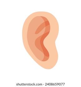 Vector realistic human ear illustration on white background.