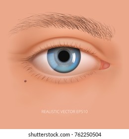 Vector realistic human eye without makeup. Glossy blue iris with a macro details. Facial element on a sweet skin background. Useful for design of laser vision correction and also make up, cosmetics.