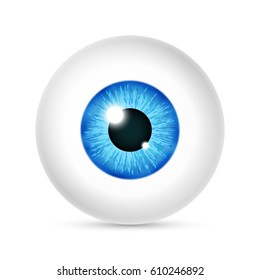 Vector realistic human eyeball. Eye with bright blue, illustration of eye ball isolated on white background