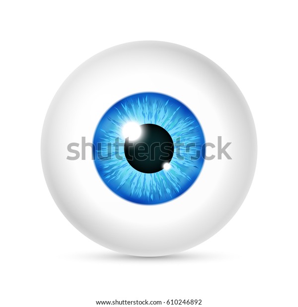 矢量逼真的人眼球 眼睛与明亮的蓝色 白色背景上隔离的眼球插图库存矢量图 免版税