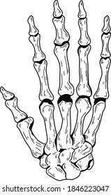 Vector realistic human hand skeleton . Eps 10  illustration can be used for party invitation, design template, greeting card, patterns fill, posters,logo, tattoo, branding. Design element