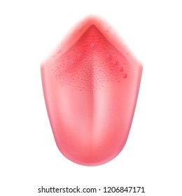 Vector realistic human healthy tongue close up top view isolated on white background