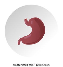 Vector realistic human stomach icon isolated on white background