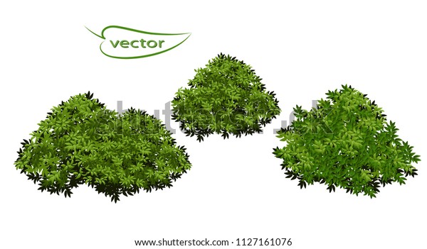 3dの葉の茂み 緑の青々とした低木 植物の自然の詳細に描かれたベクター画像のリアルなイラスト のベクター画像素材 ロイヤリティフリー