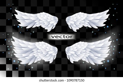 Vector realistic illustration of angel wings white shining with sparkling stars isolated on transparent background.