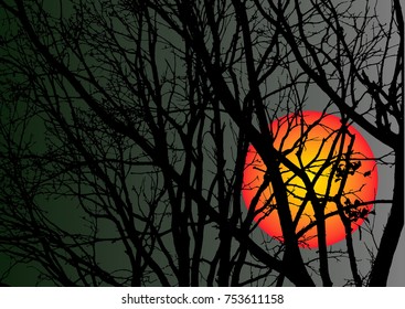 Vector realistic illustration of autumn without leaves , dramatic dark blue sky with moon or sun.