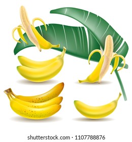 Vector realistic illustration of banana fruit,  isolated on a lighte  background. Design elements for invitations, announcements,  juice, cosmetics, health products, agricultural fairs.