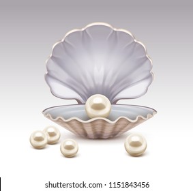 Vector realistic illustration of beige shiny pearl in shell isolated on background