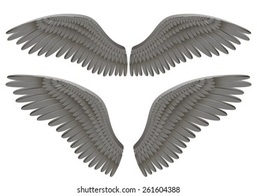 Vector Realistic Illustration Of Black Angel Wings