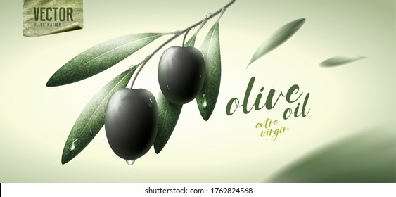 Vector realistic illustration. Black olives, leaves and paper icon.	